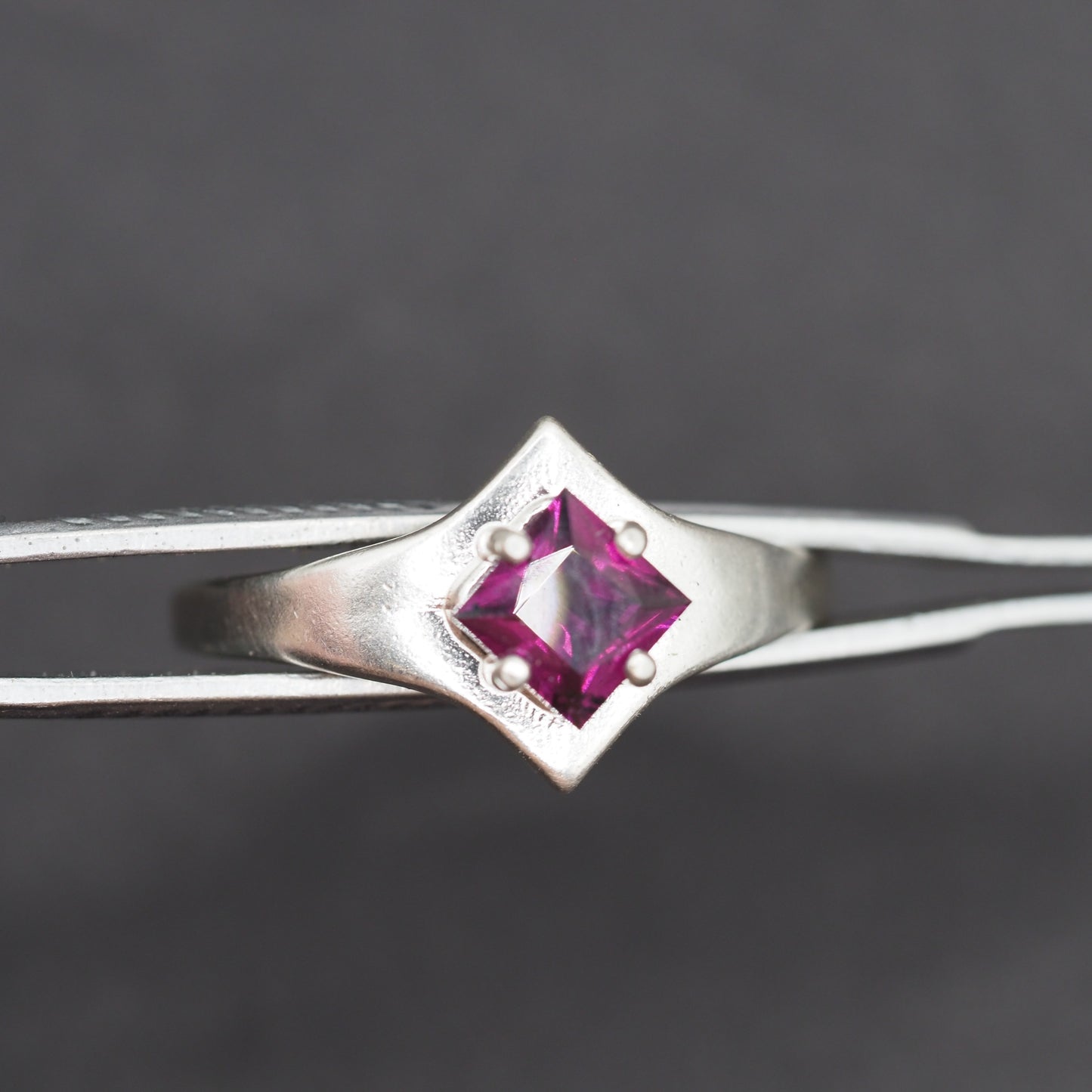 Idaho Garnet Ring R030