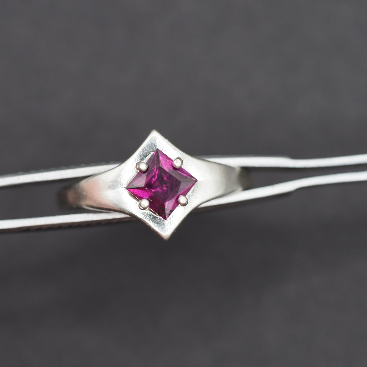 Idaho Garnet Ring R030