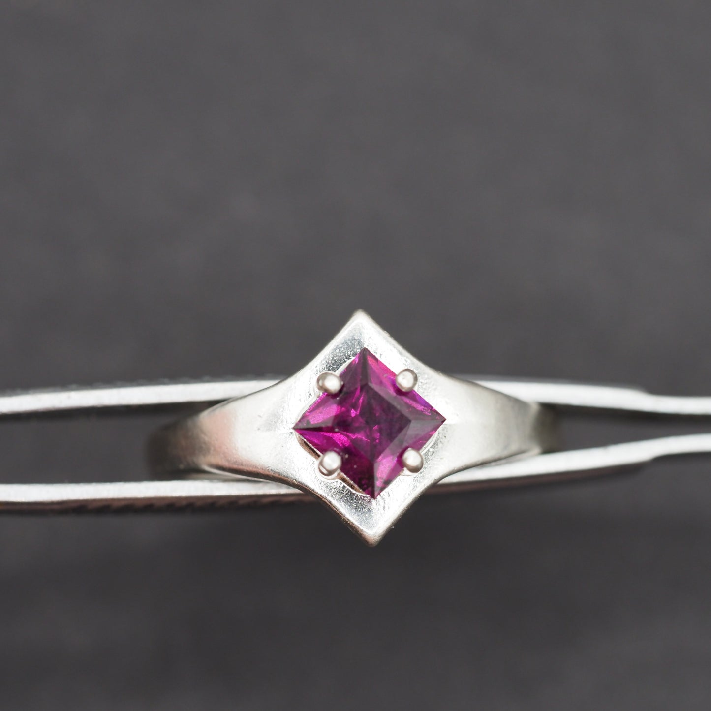Idaho Garnet Ring R030